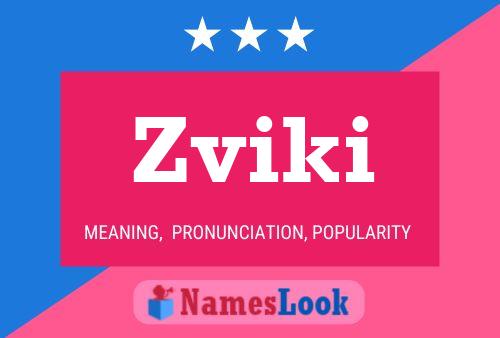 Poster del nome Zviki