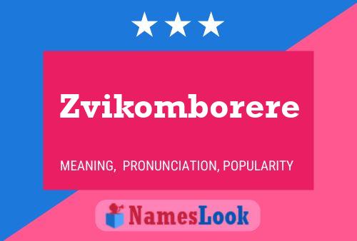 Poster del nome Zvikomborere