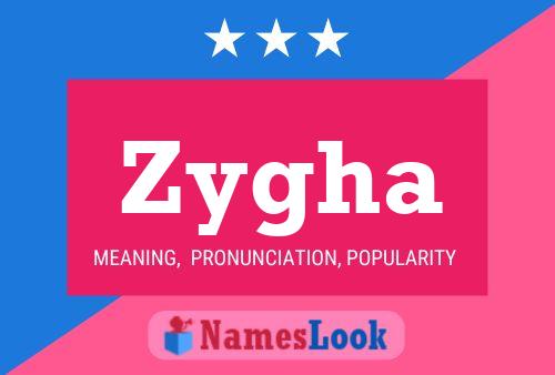 Poster del nome Zygha