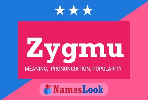 Poster del nome Zygmu